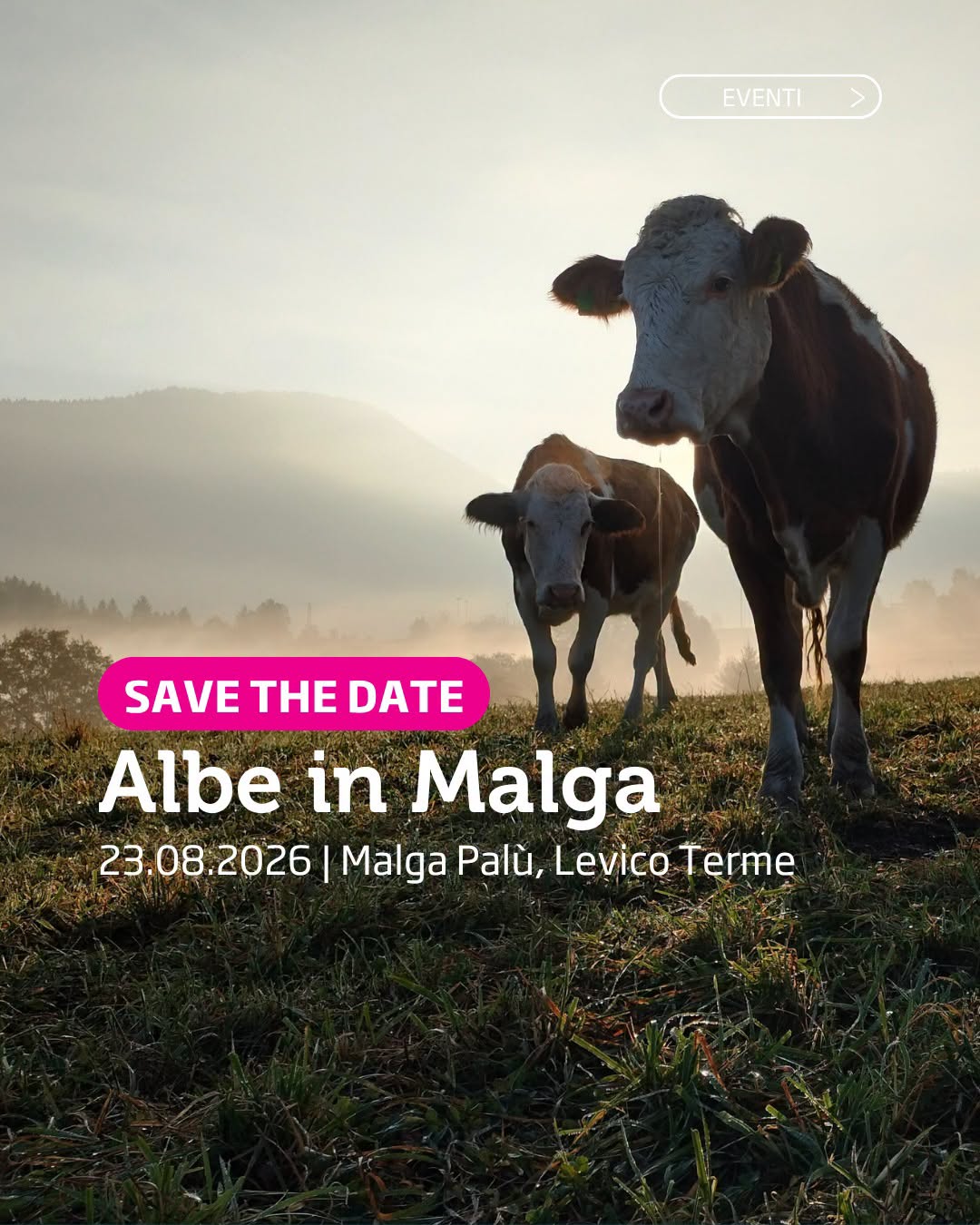 Affiche de Albe in Malga