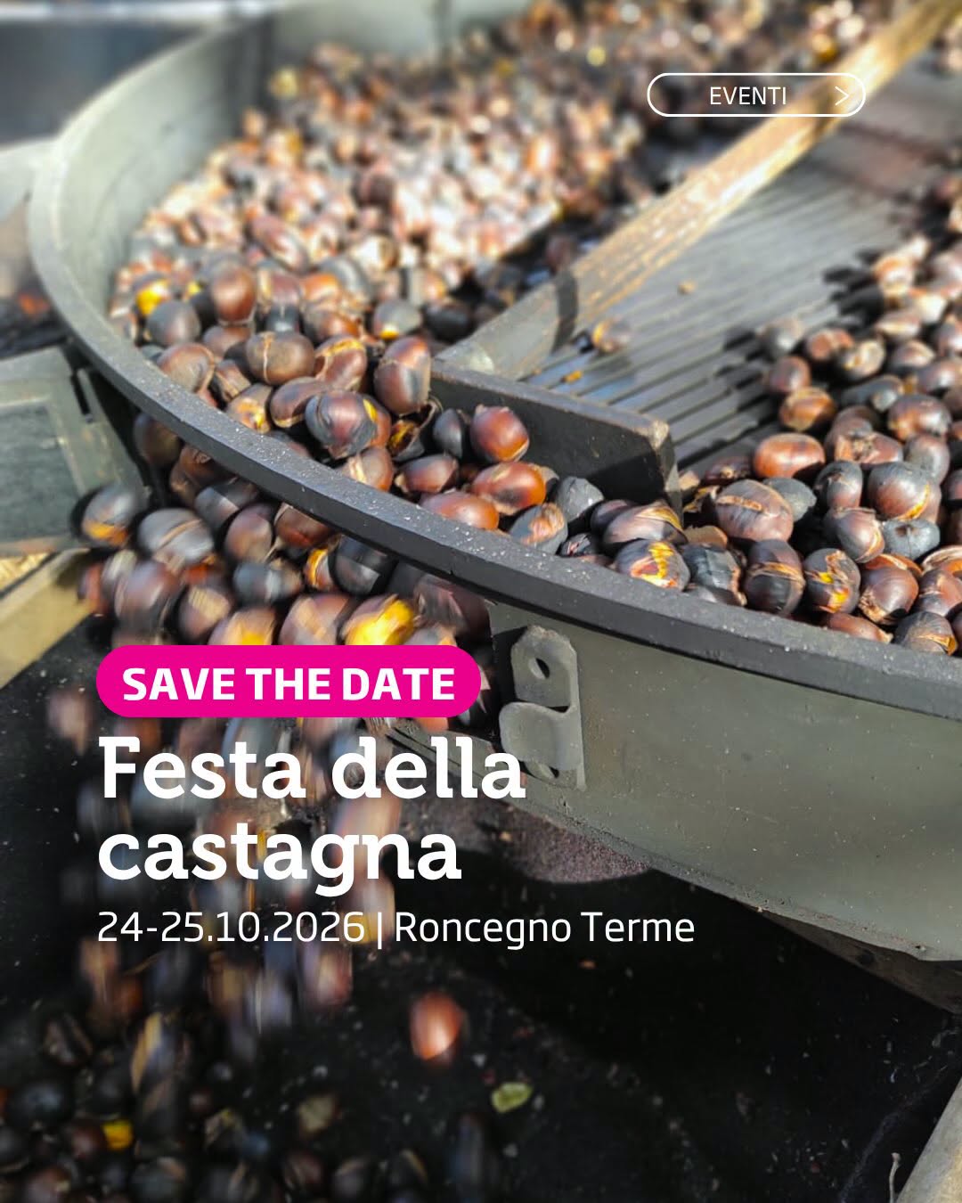Locandina di Festa della castagna